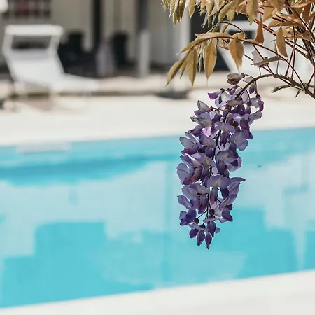 Aquavista - Pied Dans L'eau & Pool *