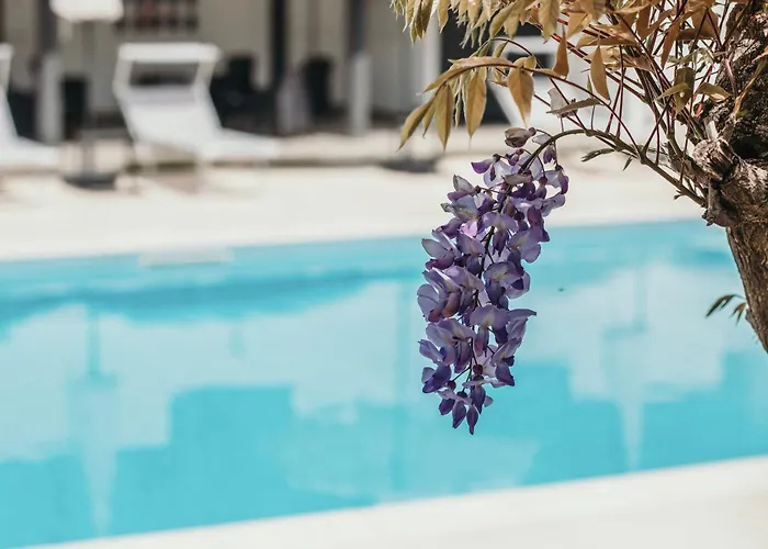 Aquavista - Pied Dans L'eau & Pool *